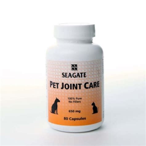 Prevent Pet Joint Pain: Exercise With Your Dog!