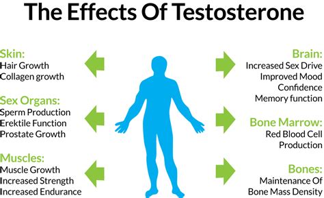 All About Testosterone: Get The Edge Through Diet And Exercise ...