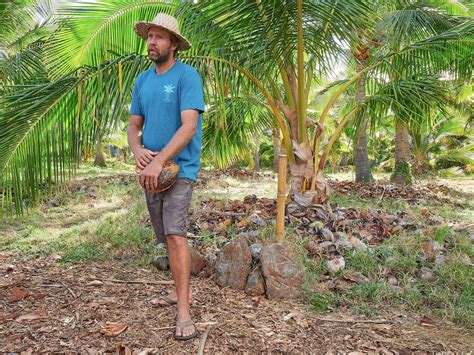 8 Hawaiʻi-Related Coconut Facts for World Coconut Day - Hawaii Magazine