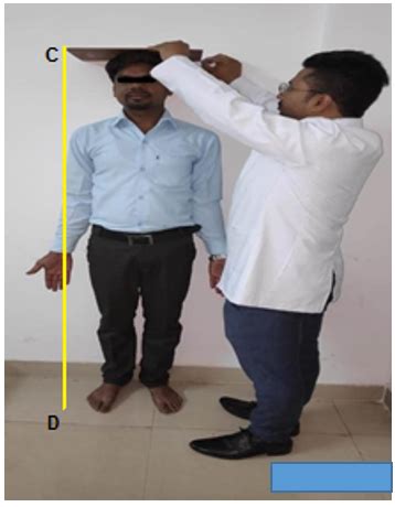 C-D Measurement of stature | Download Scientific Diagram