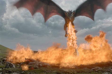 The biology behind a fire-breathing dragon | Royal Society of Biology blog