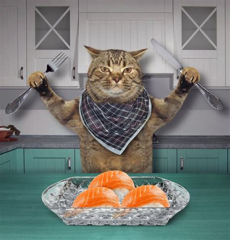 Cat Eats Sushi in the Kitchen Stock Image - Image of food, room: 121310809