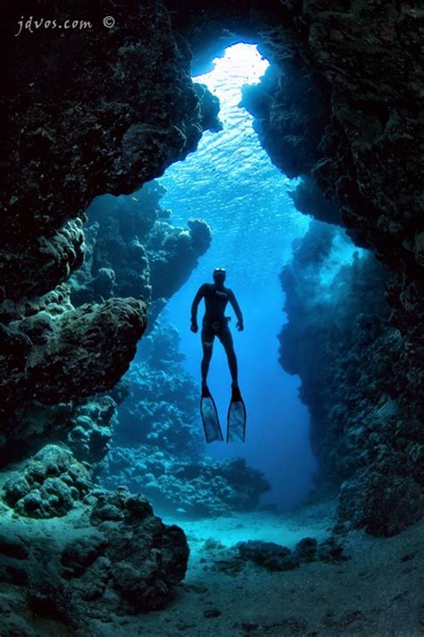 Majestic Diving Photography that will Give You Scuba Thirst WAteR. I ...