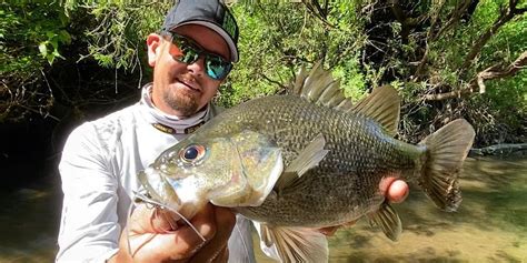 SEQ Australian Bass | Liam Fitzpatrick | Australian Lure Fishing