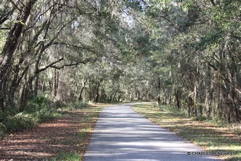 The Withlacoochee State Trail: The Withlacoochee State Trail In Florida