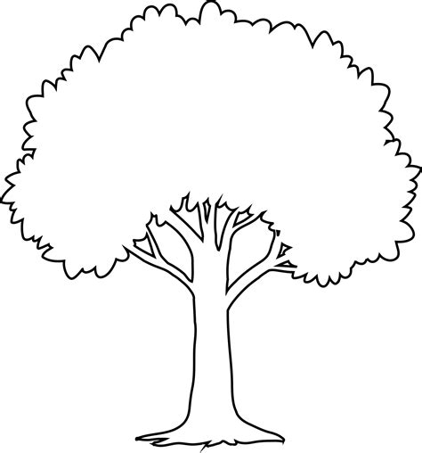 Tree Outline Vector Art, Icons, and Graphics for Free Download