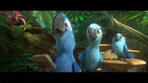 Rio 2 Blu-ray (Blu-ray + DVD + Digital HD)