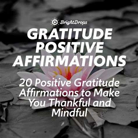 20 Positive Gratitude Affirmations to Make You Thankful and Mindful ...