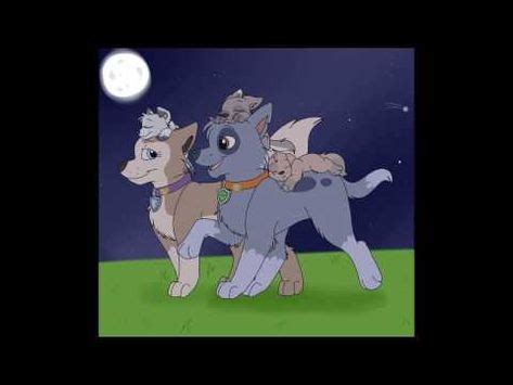 Rocky and Tundra tribute - YouTube | Dibujos de paw patrol, Dibujos