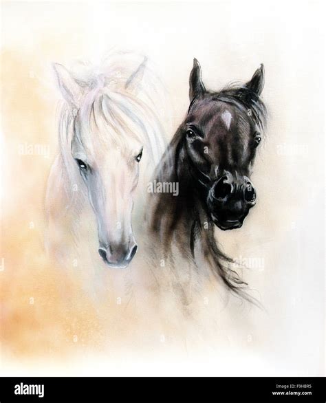 Beautiful White Horse Paintings