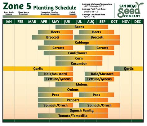 Zone 5 Vegetable Planting Chart