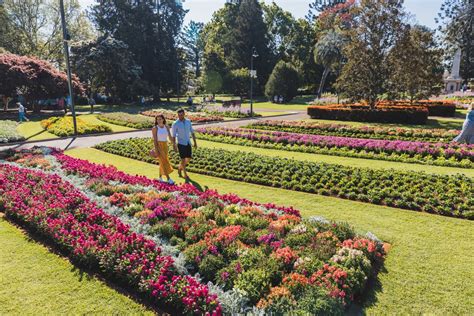 Toowoomba Carnival of Flowers | NeedaBreak