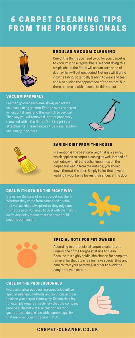 6 Carpet Cleaning Tips from the Professionals | Blog