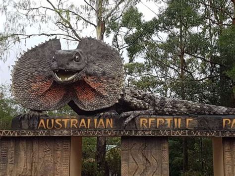 Australian Reptile Park NSW Reviews| Australian Reptile Park Online Reviews