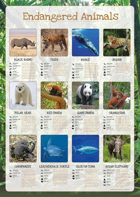 Endangered Animals Poster – Tiger Moon