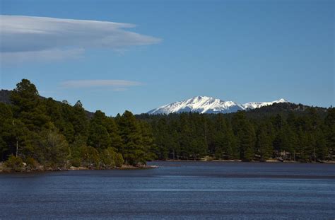 Kaibab Lake Campground Map