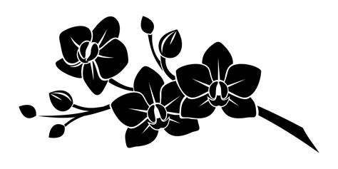 Free Orchid Clip Art Black And White, Download Free Orchid Clip Art ...