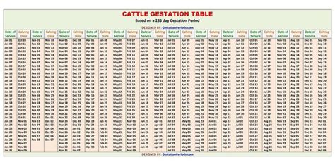 Cattle Gestation Table | Gestation calculator, Pregnant dog, Gestation ...