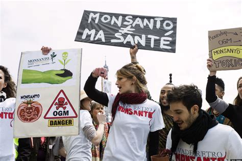 In Europe, Monsanto Backing Away From GMO Crops | HuffPost