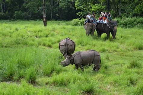 Chitwan Jungle Safari | Overland Trek Nepal