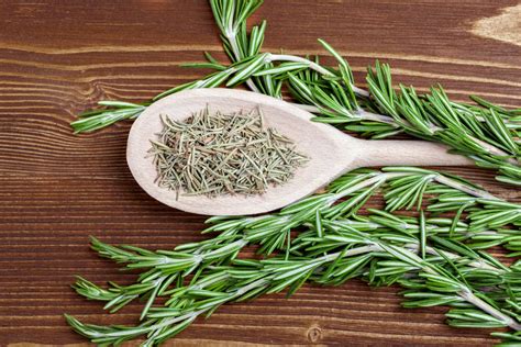 Thyme vs. Rosemary - Tastylicious