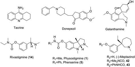 Structures of AChE inhibitor anti-AD drugs, classical carbamate-type ...