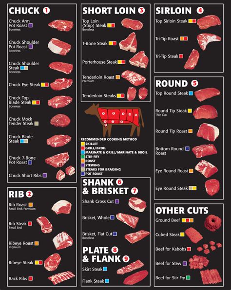 Beef Cattle Diagram