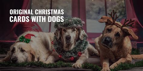 20 Original Christmas Cards With Dogs – Festive, Cute & Funny