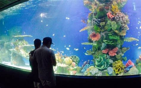 Manila Ocean Park