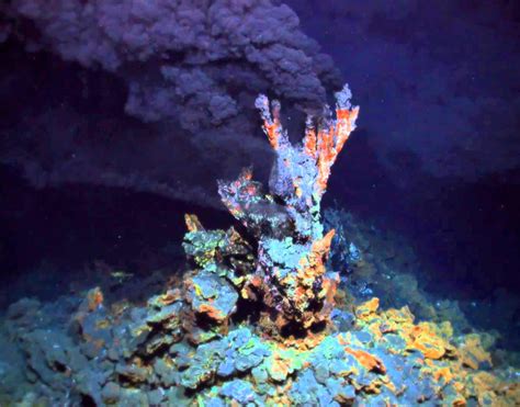 Life Originated in Hydrothermal Vents, New Study Suggests | Sci.News