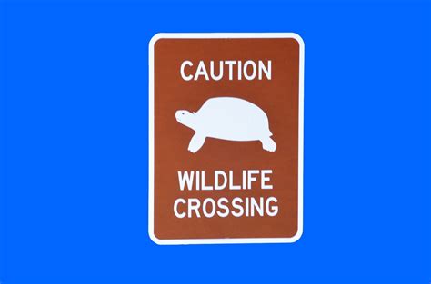 Wildlife crossing,sign,symbol,isolated,background - free image from ...