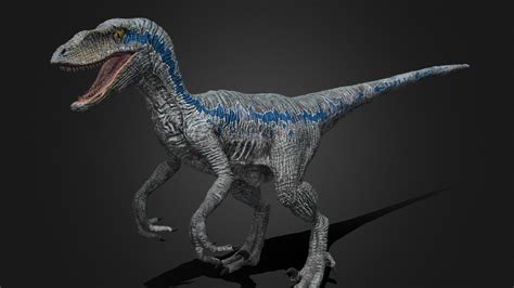 Blue Velociraptor - Download Free 3D model by Cenker Turhan ...