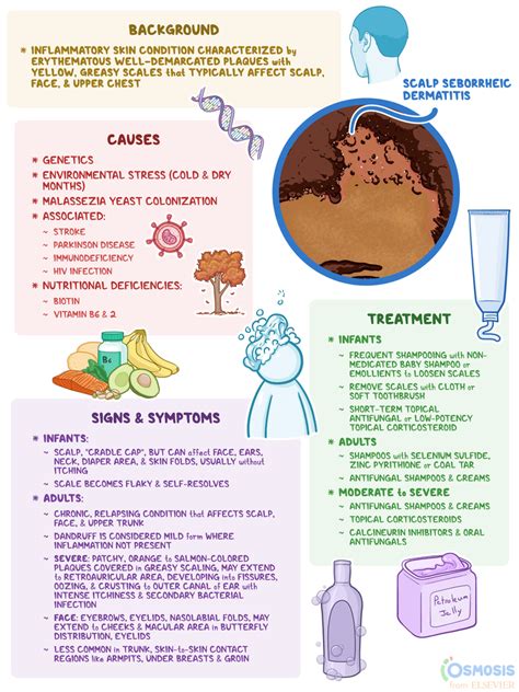 Seborrheic Dermatitis: What Is It, Causes, Treatment, and More