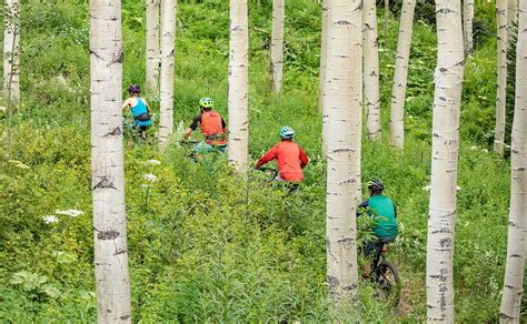 Mountain Bike Rentals in Aspen | Four Mountain Sports | Aspen Snowmass