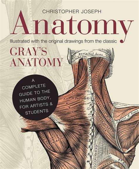 Anatomy Artists | ubicaciondepersonas.cdmx.gob.mx