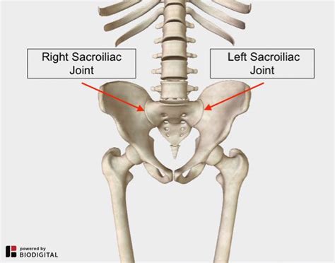 Lower Back and Hip Pain | 7 Frequently Overlooked Causes