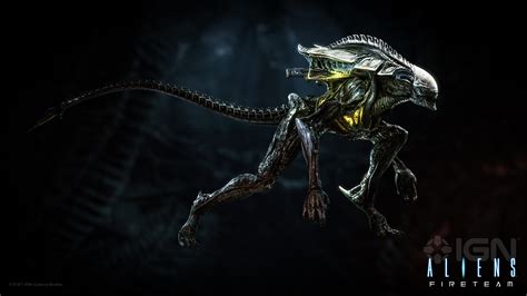 Alien Xenomorph Types