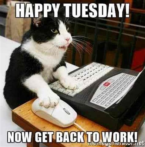 101 Funny Tuesday Memes When You're Happy You Survived a Workday