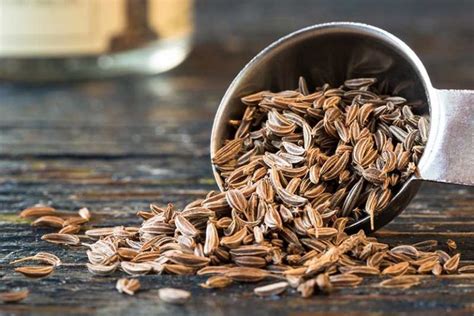 Health Benefits of Caraway Seeds | Gardener’s Path