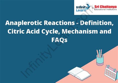 Anaplerotic Reactions - Definition, Citric Acid Cycle, Mechanism and ...