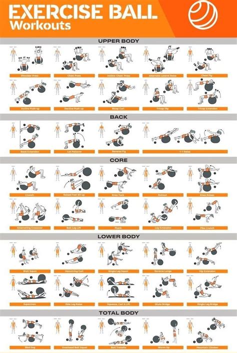 Exercise Ball Workout Chart | Printable Exercise Ball Workout Chart ...