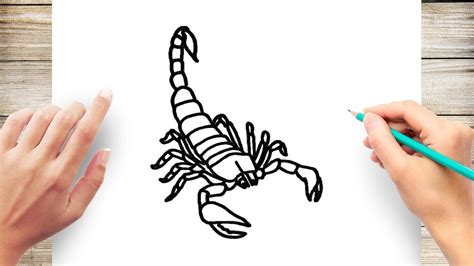 how to draw a scorpion step by step Scorpion drawing draw drawings ...