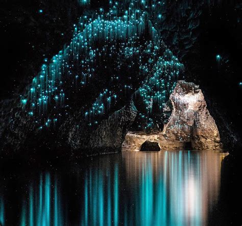 5-five-5: Waitomo Glowworm Caves (New Zealand)