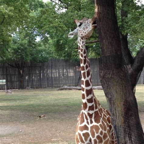 Great Plains Zoo - Zoo in Sioux Falls