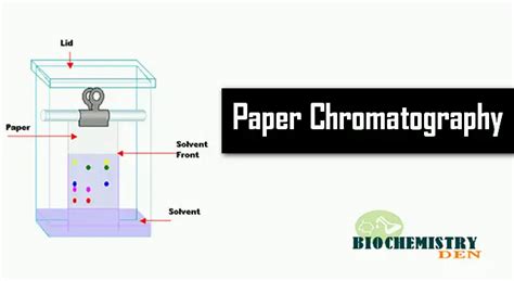 What is Paper Chromatography? Principle and Procedure