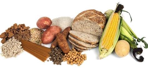 ¿LOS CARBOHIDRATOS ENGORDAN?. DIETAS ACTUALES MUY BAJAS EN HIDRATOS.