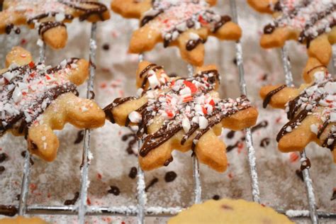 15+ Christmas Cookies to Gift (And Eat Right Now) - Treading Lightly