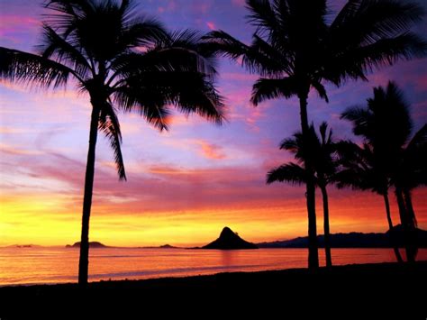 🔥 [40+] Hawaiian Sunset Wallpapers | WallpaperSafari