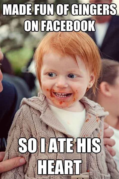 Funny Ginger Memes Part 1, Because Why Not? – Slightly Qualified