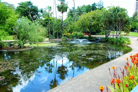 Brisbane City Botanic Gardens